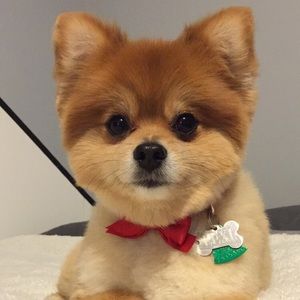 Meet your Posher, Mary